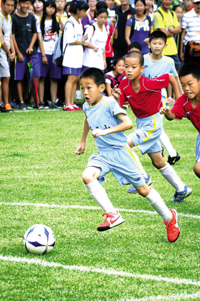 辽篮惨败广东揪出三大死穴！杨鸣还在啃老本